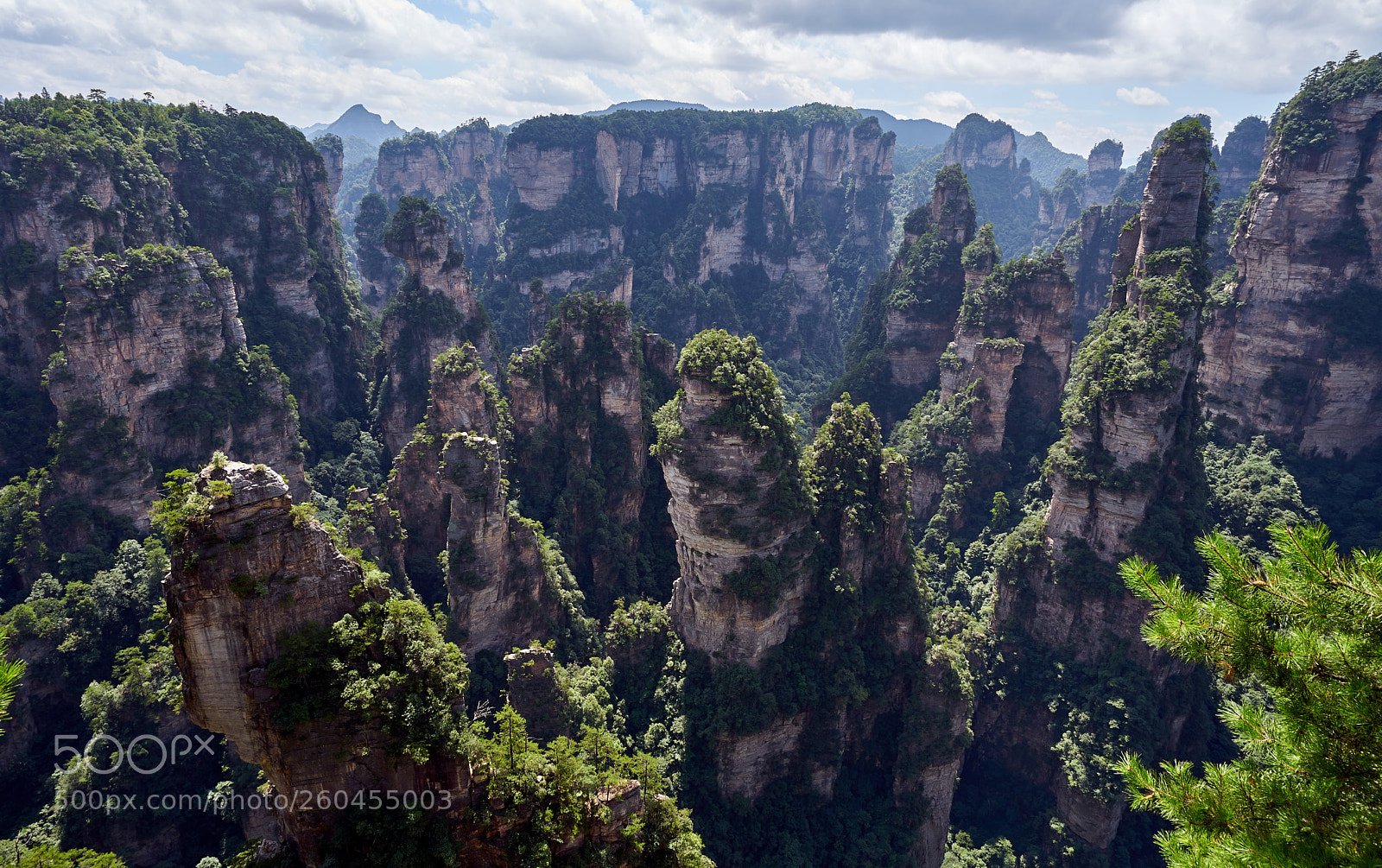 Sony a7 sample photo. Zhangjiajie photography