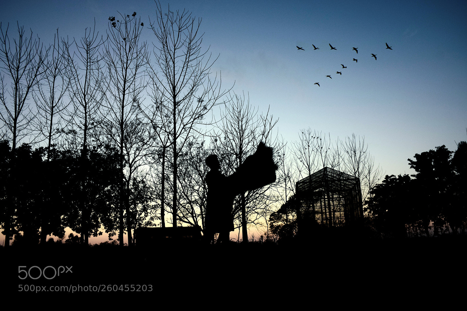 Nikon D5300 sample photo. Day break photography