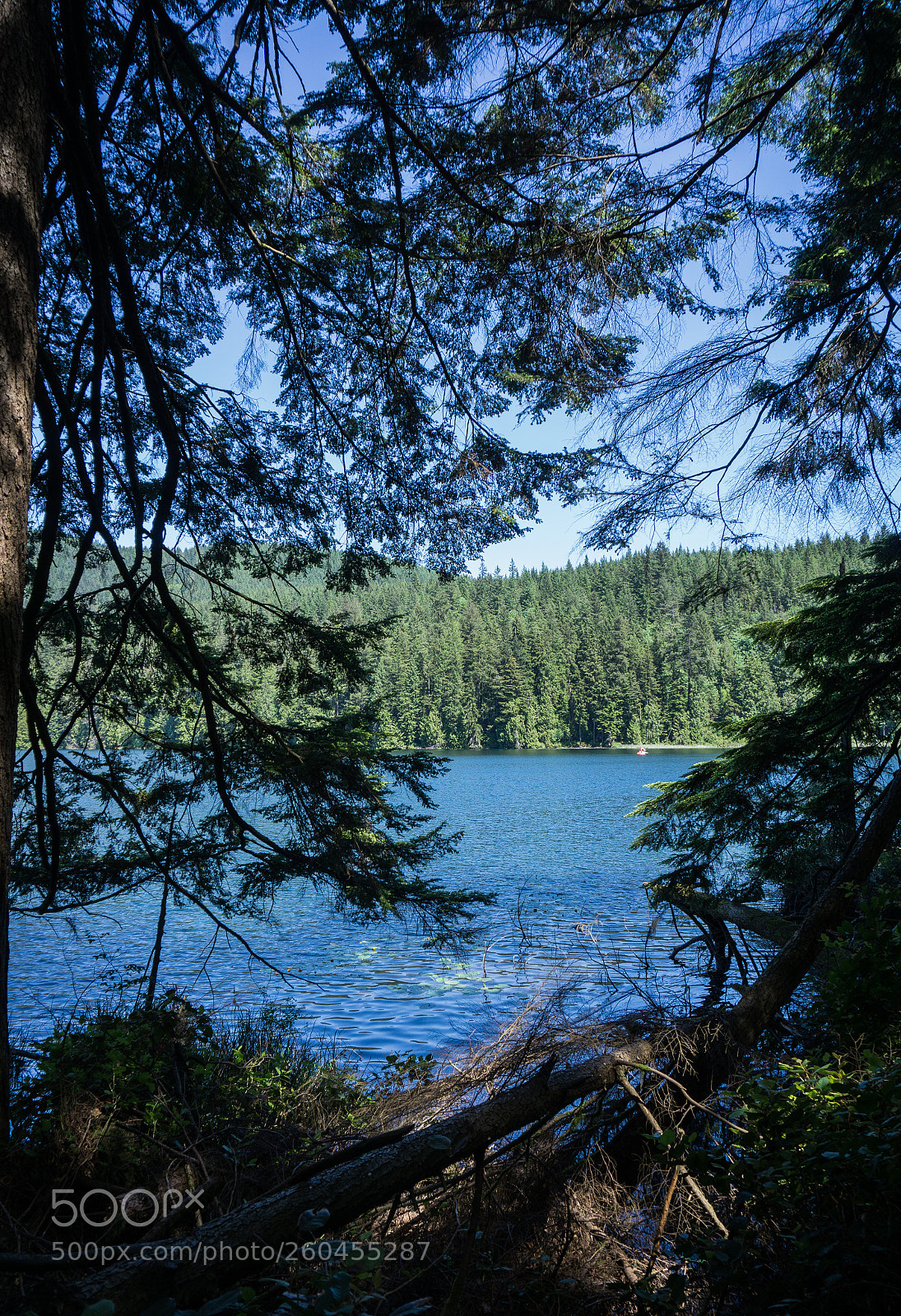 Sony a6000 sample photo. Belcarra lake photography