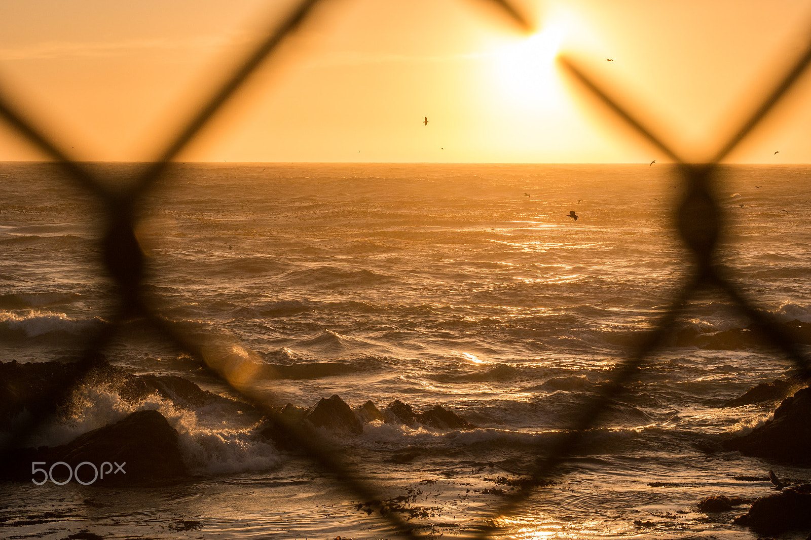 Panasonic Lumix DMC-G5 sample photo. The pacific ocean photography