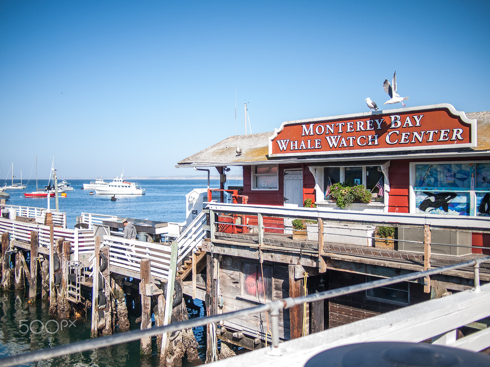 Olympus PEN E-P1 sample photo. Monterey harbor photography