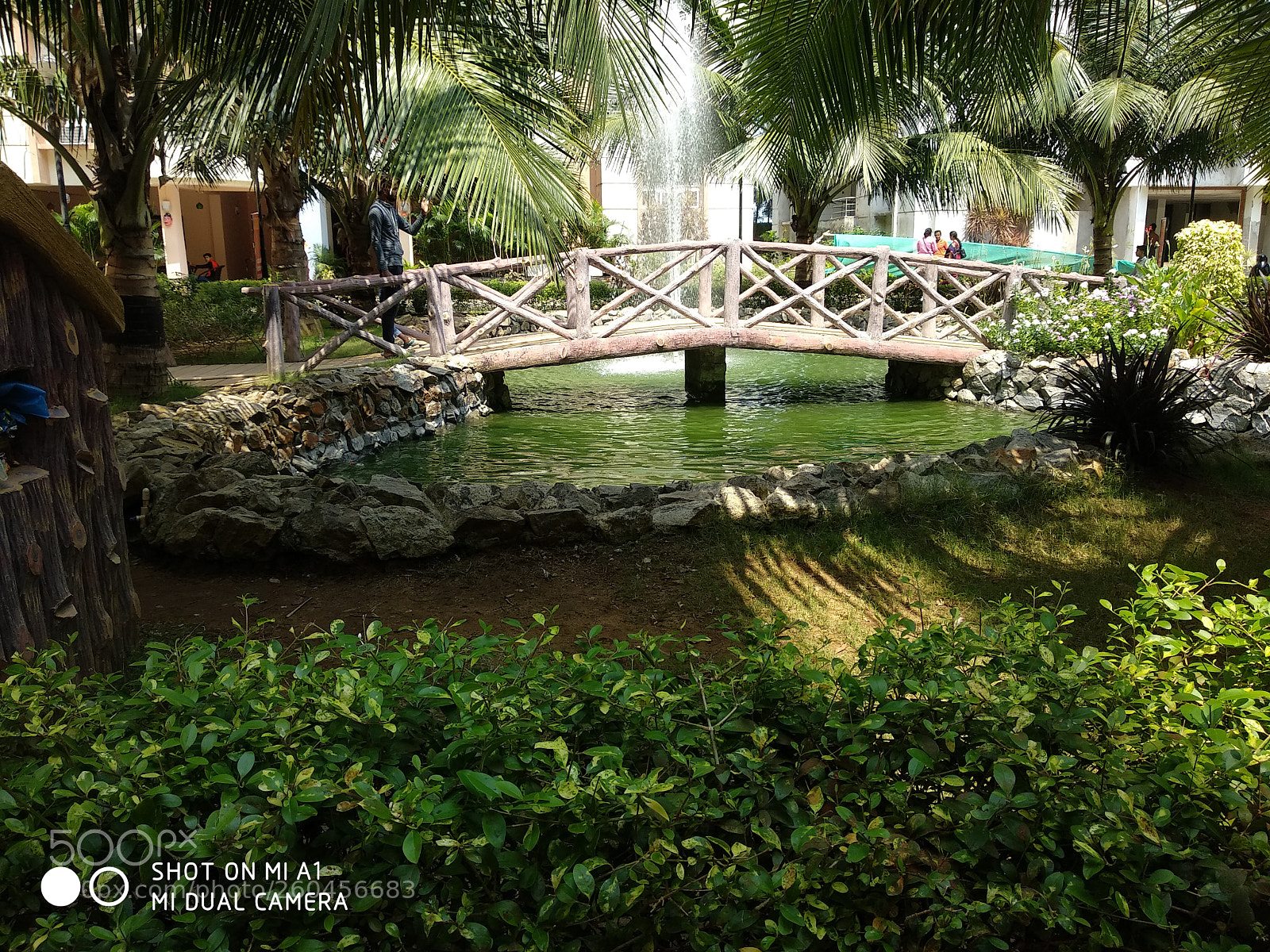 Xiaomi Mi A1 sample photo. Img_20180525_100550.jpg photography