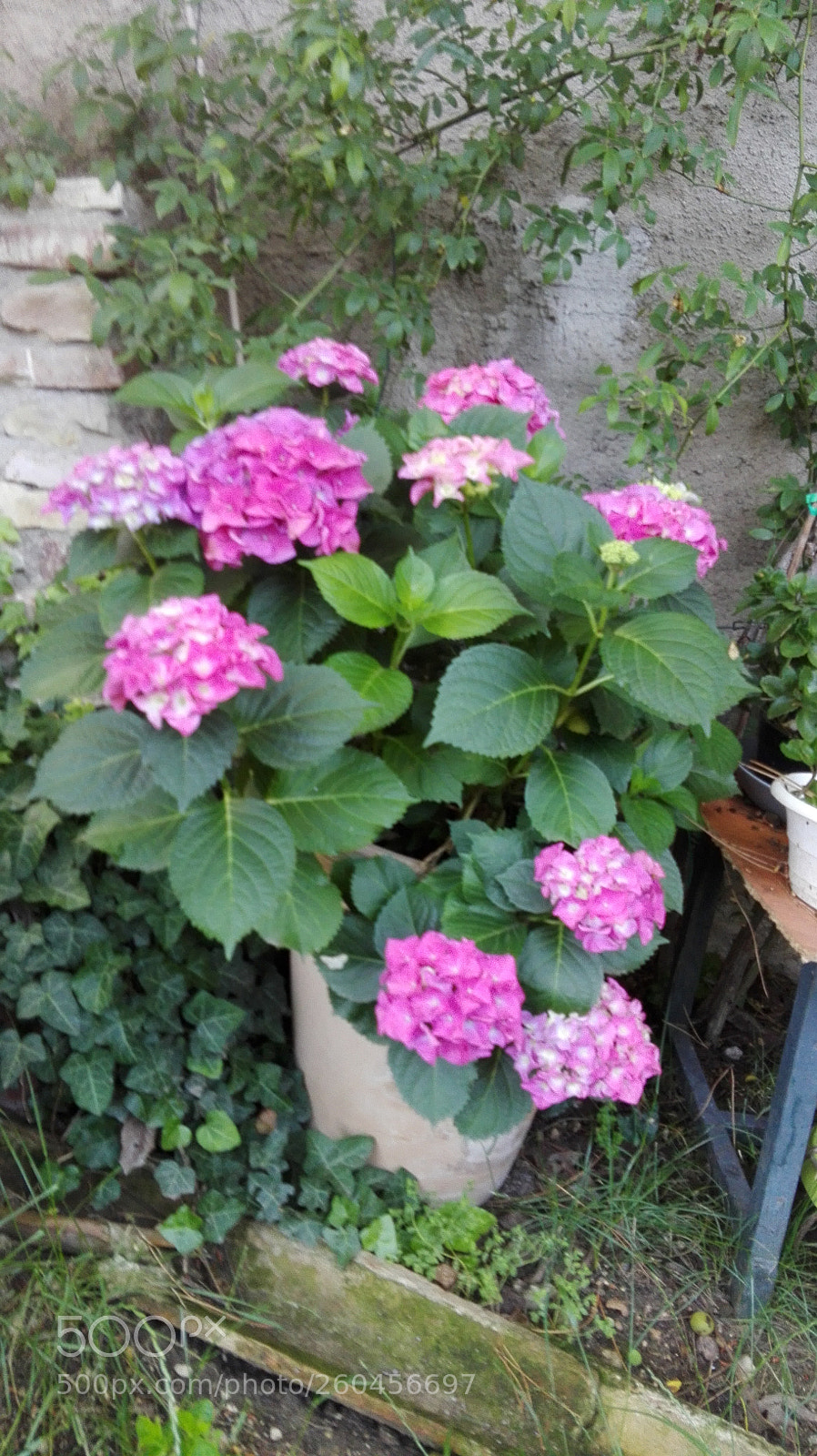 HUAWEI P8 Lite sample photo. Untitled photography