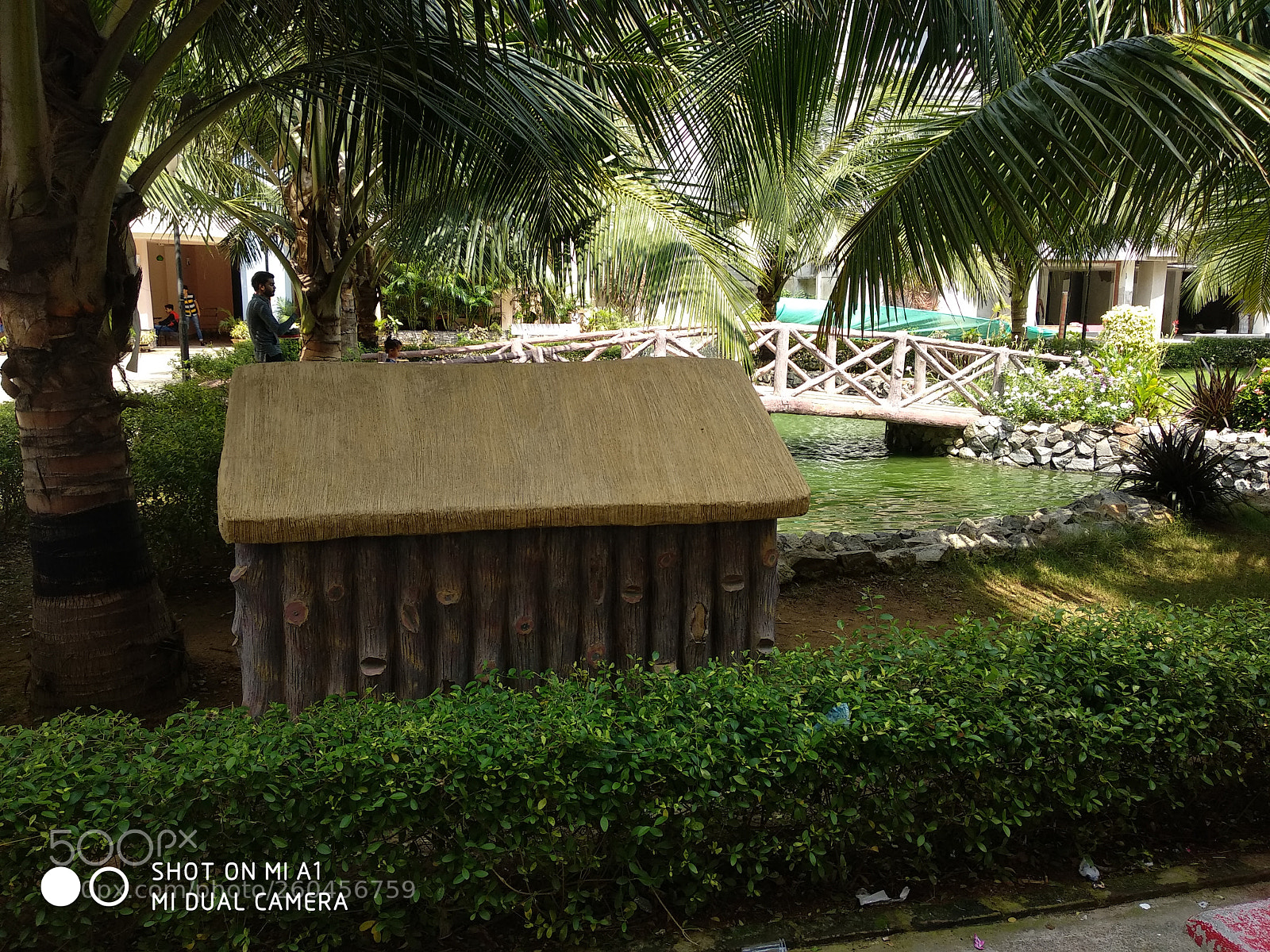 Xiaomi Mi A1 sample photo. Img_20180525_100456.jpg photography