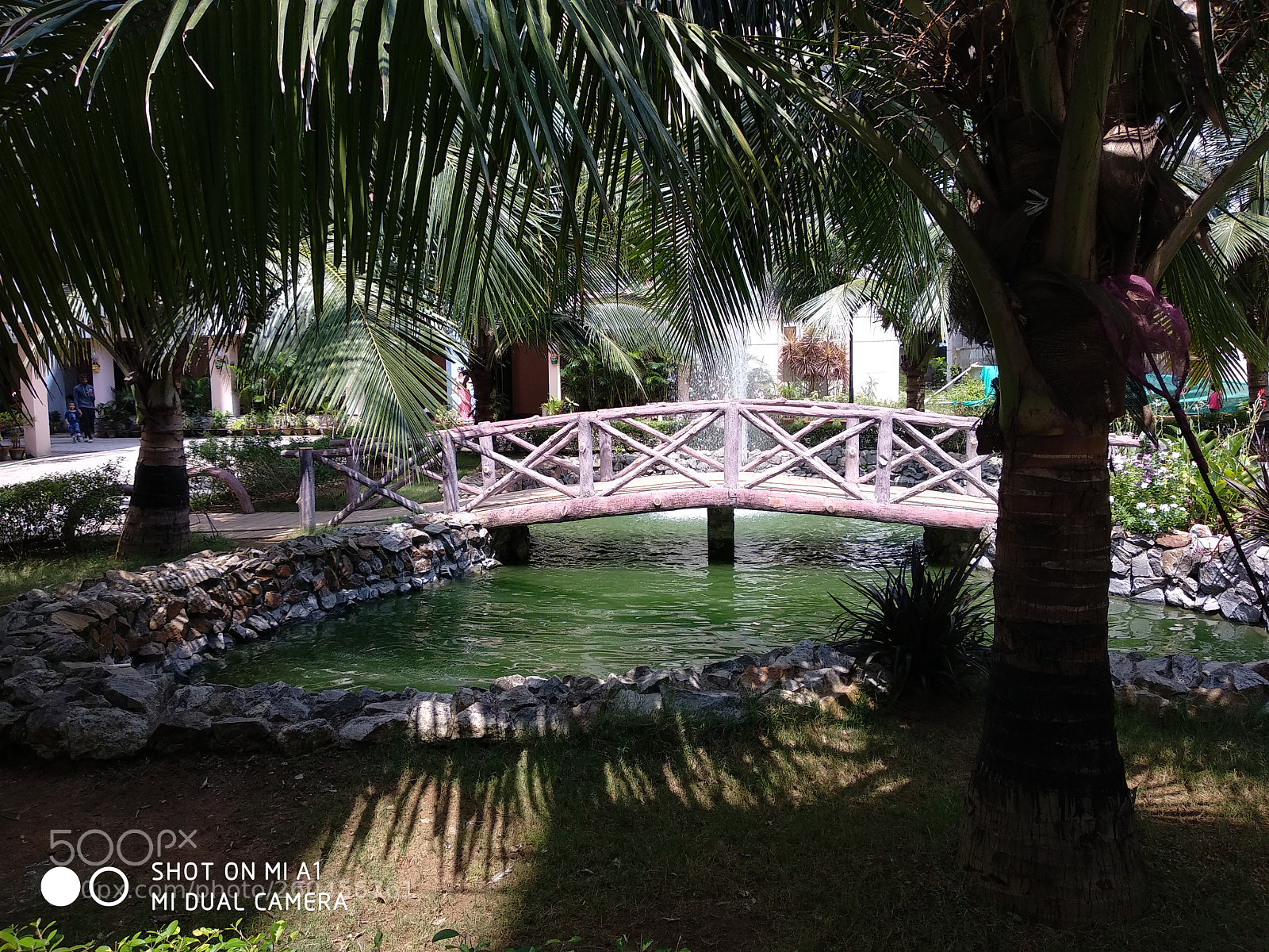 Xiaomi Mi A1 sample photo. Img_20180525_100438.jpg photography