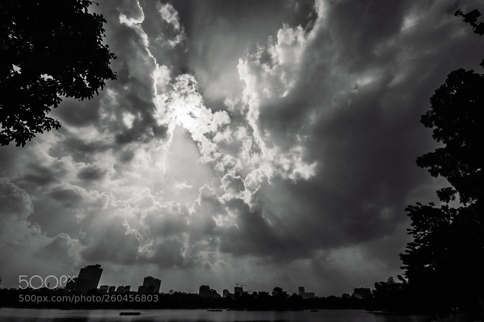 Nikon D7100 sample photo. Untitled photography