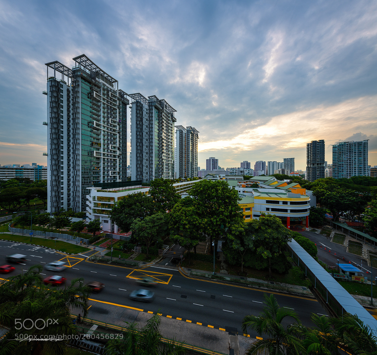 Nikon D850 sample photo. Afternoon delight photography
