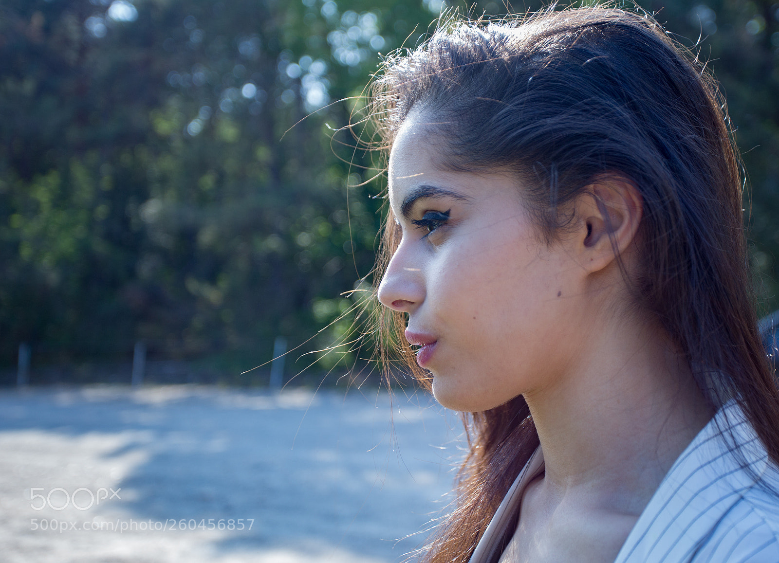 Canon EOS 6D sample photo. Hindia photography