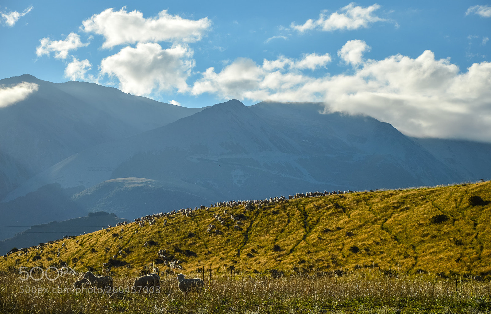 Nikon D3200 sample photo. Arthur's pass photography