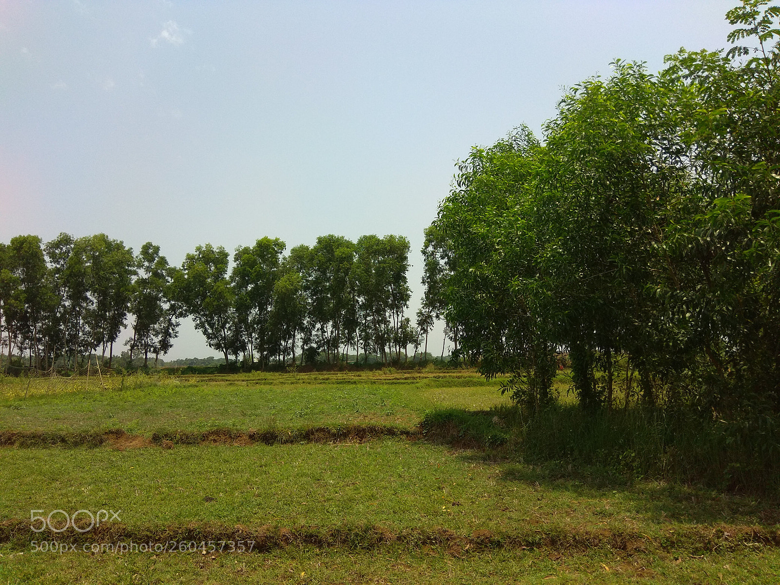 Xiaomi Redmi Note 4 sample photo. Untitled photography