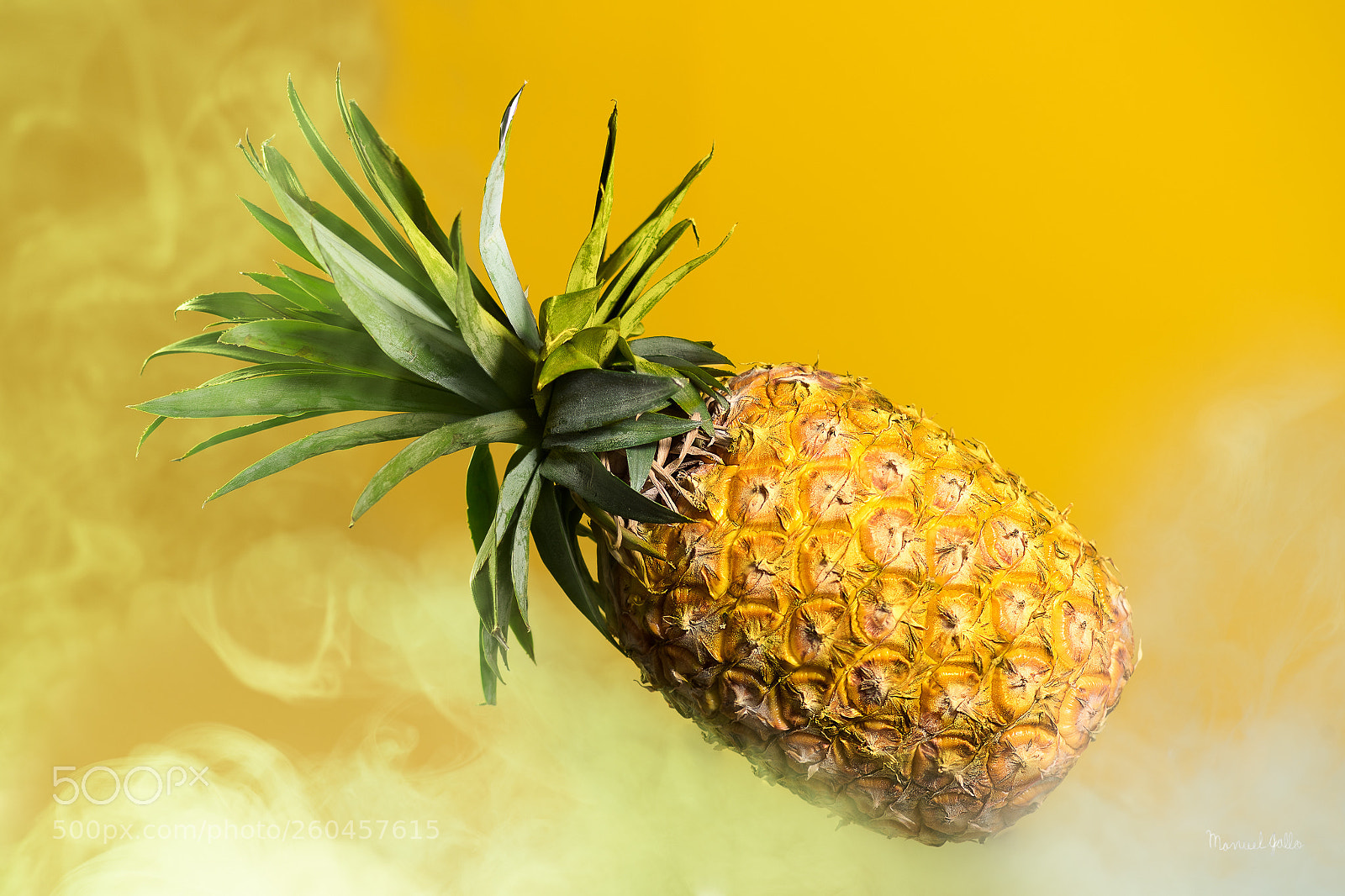 Nikon D750 sample photo. Piña photography