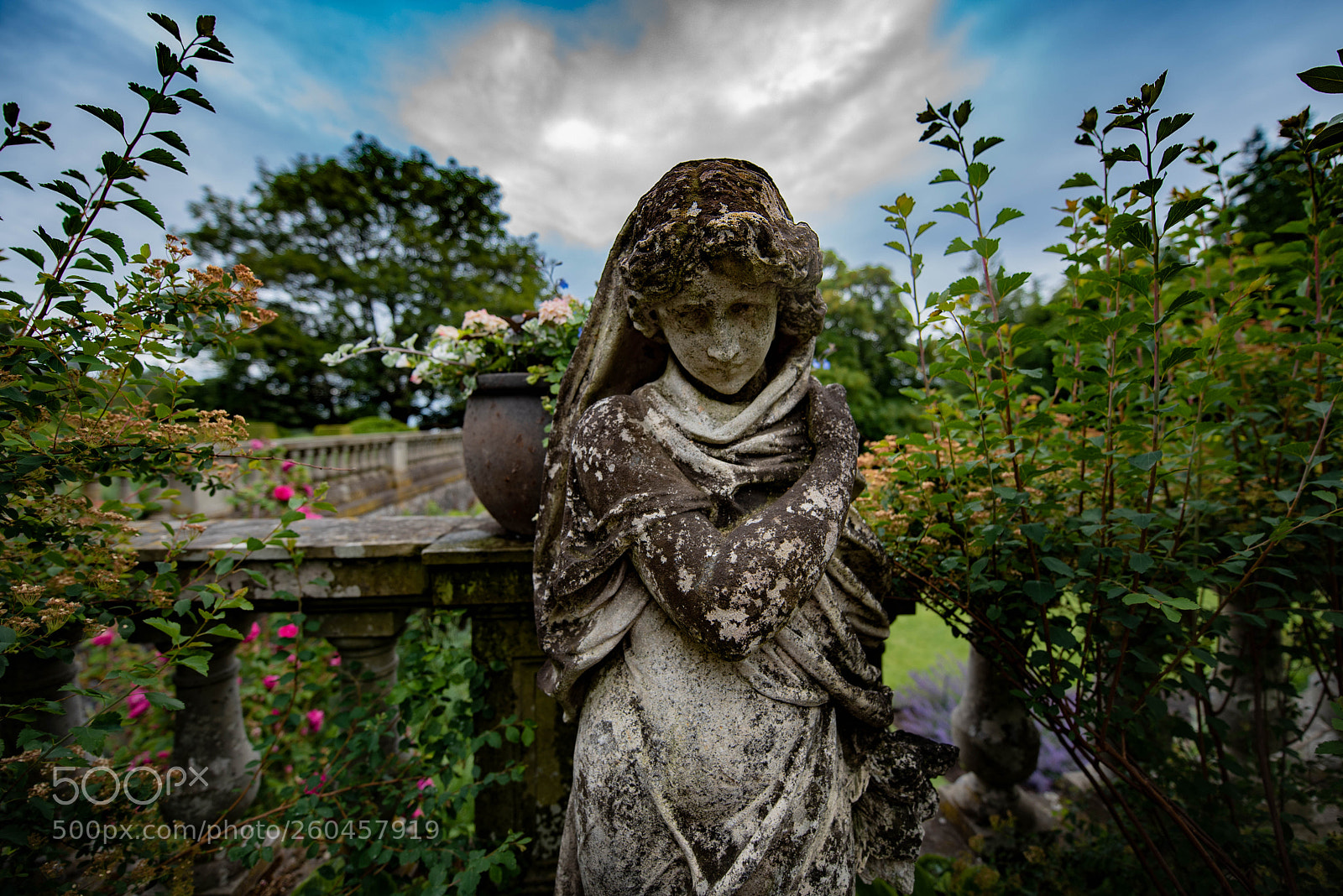 Nikon D750 sample photo. Hatley park national photography