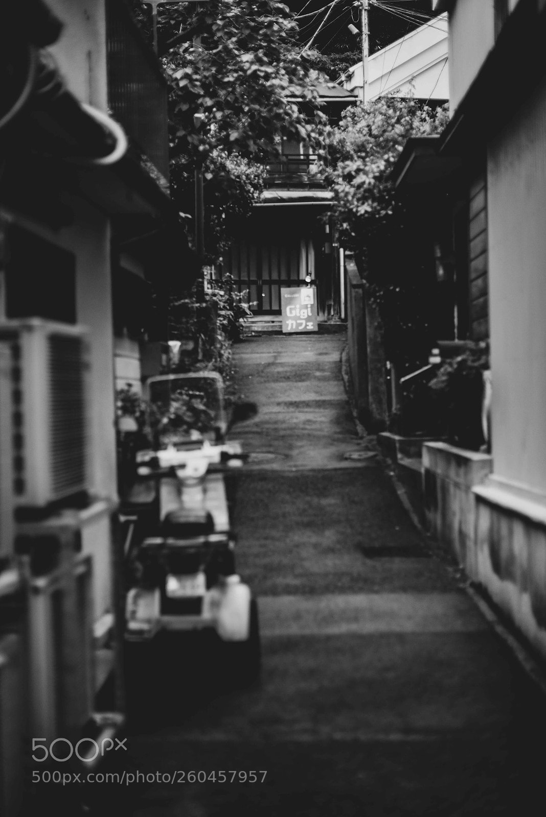 Nikon D800 sample photo. In old time photography