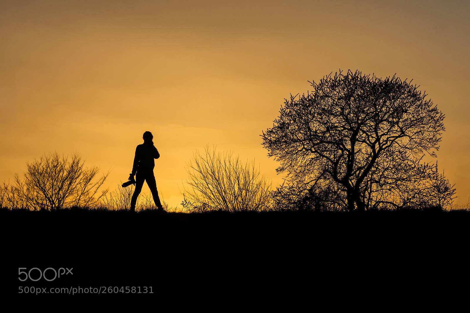 Nikon D7200 sample photo. Silhouettes photography