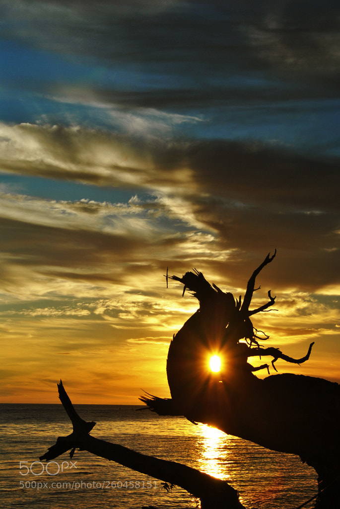 Nikon D3000 sample photo. Untitled photography