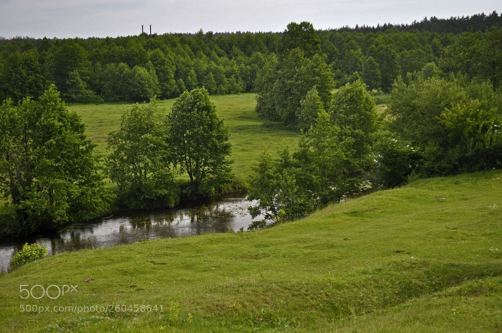 Nikon D5000 sample photo. Country sketches photography