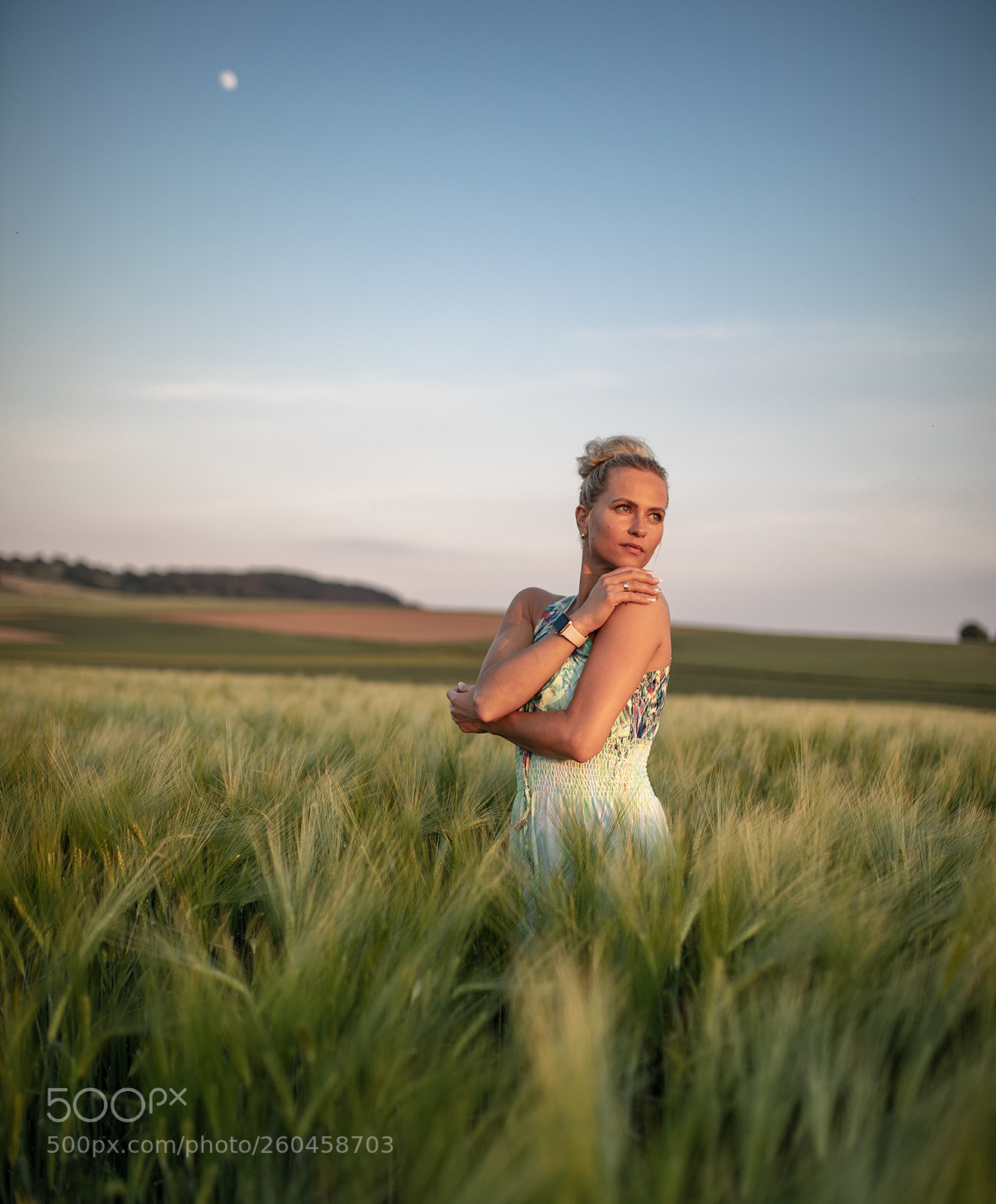 Canon EOS 5D Mark IV sample photo. Field photography