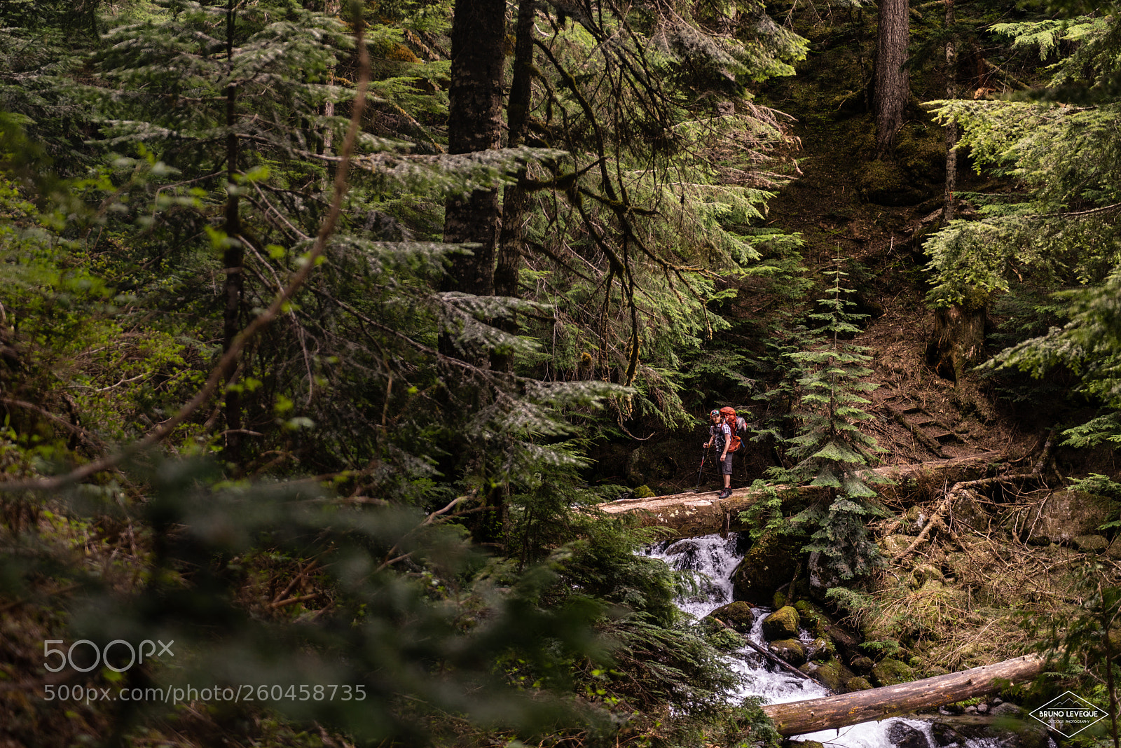 Sony a7R sample photo. Chilliwacklakeprovincialpark photography
