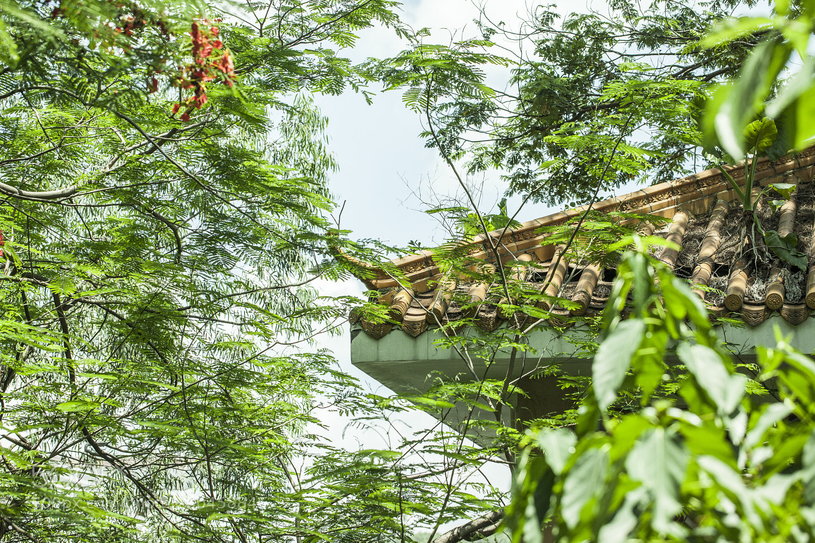 Canon EOS 5D Mark II sample photo. Building roof and plants photography