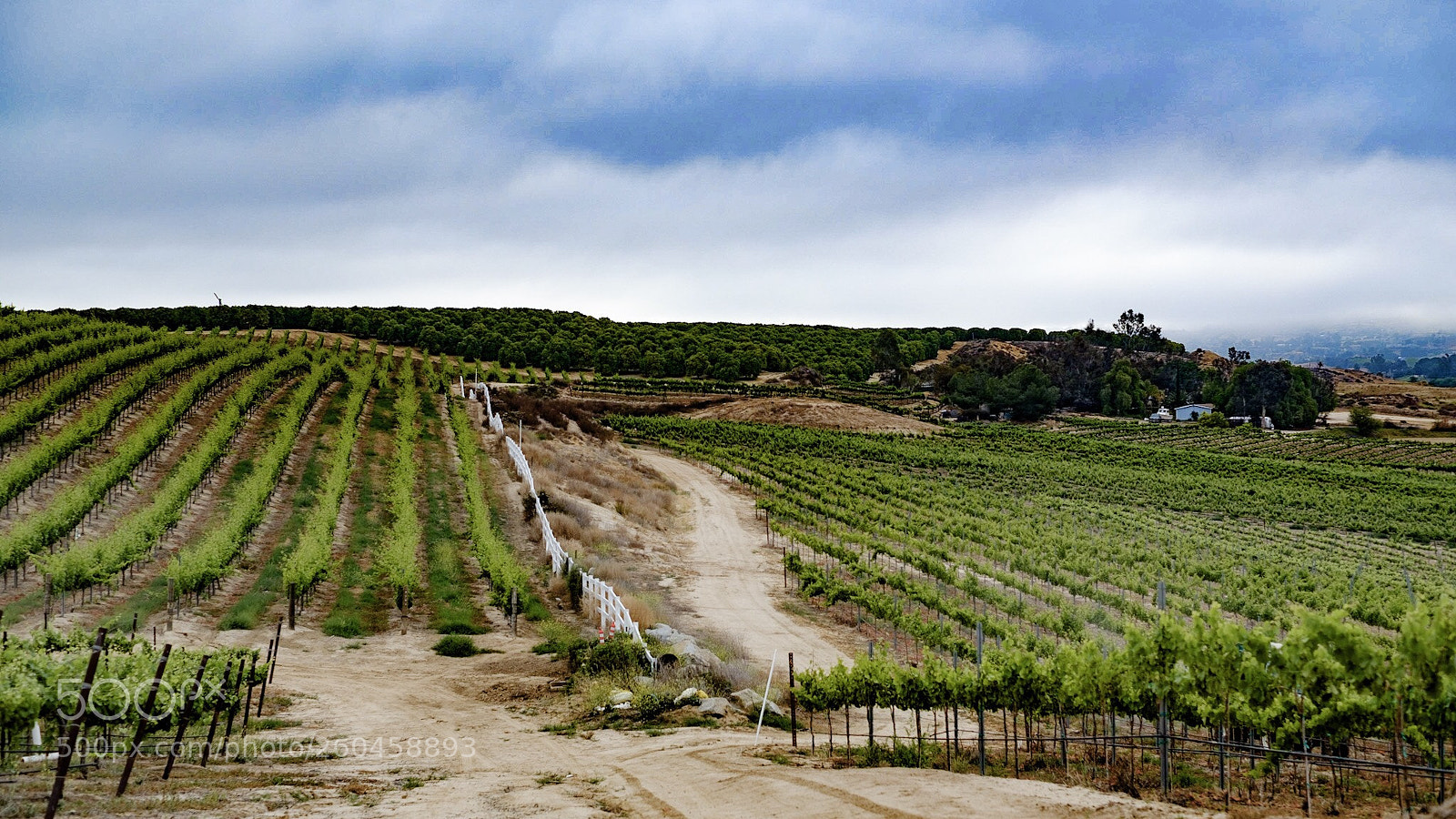 Fujifilm X-T2 sample photo. Winery  photography
