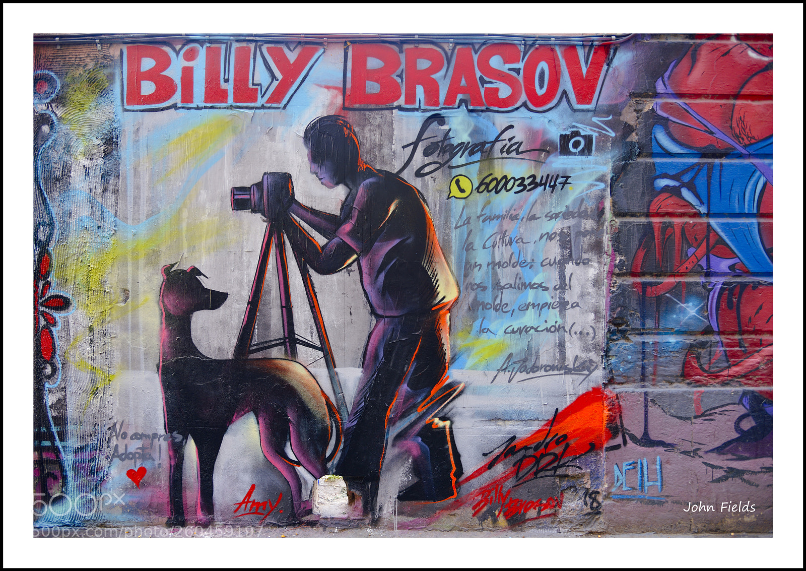Nikon D800 sample photo. Street art (valència) photography