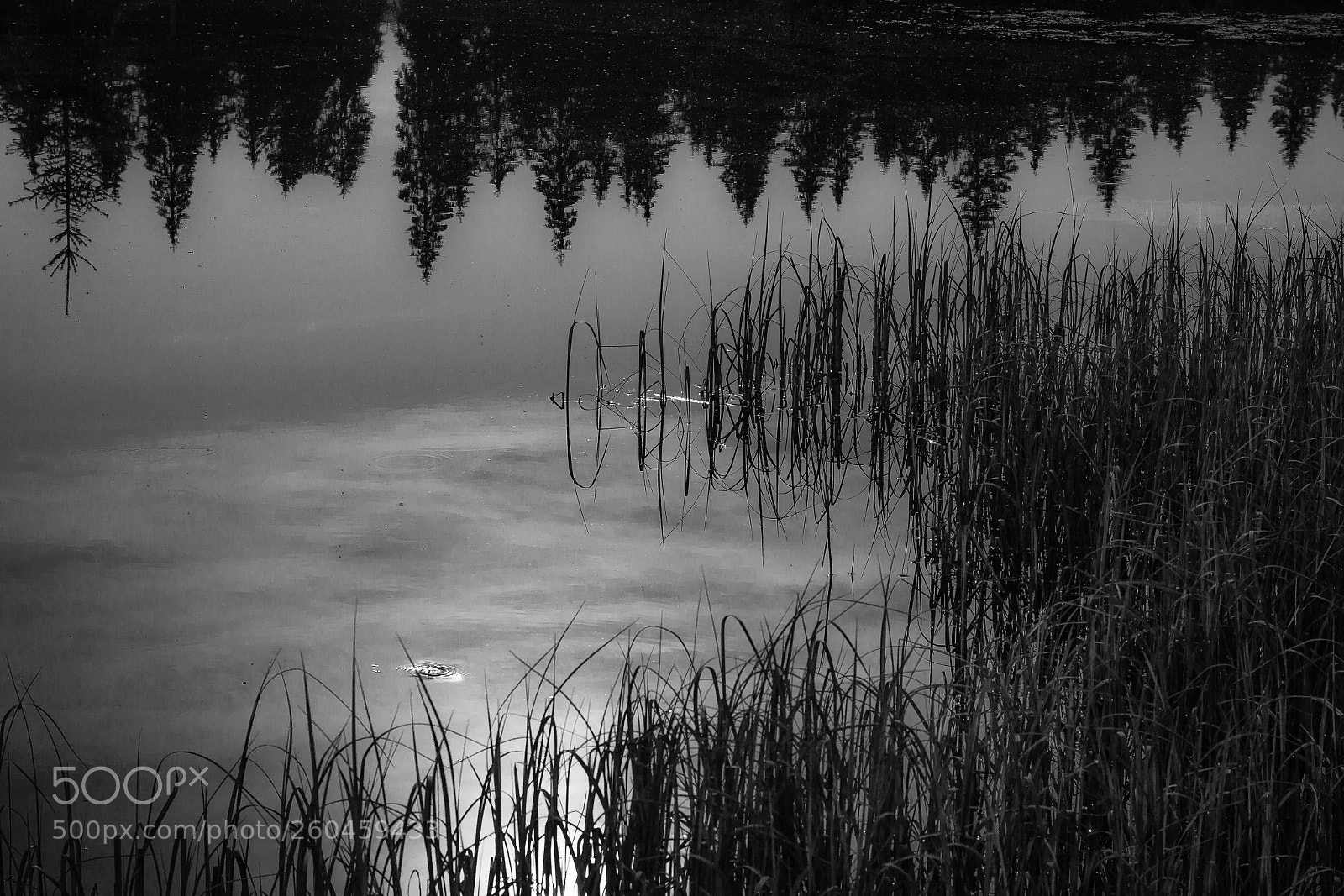 Canon EOS 7D sample photo. Evening fishing ... photography