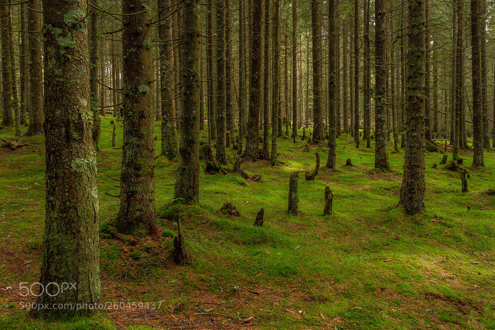 Canon EOS 7D sample photo. Labyrinth... photography