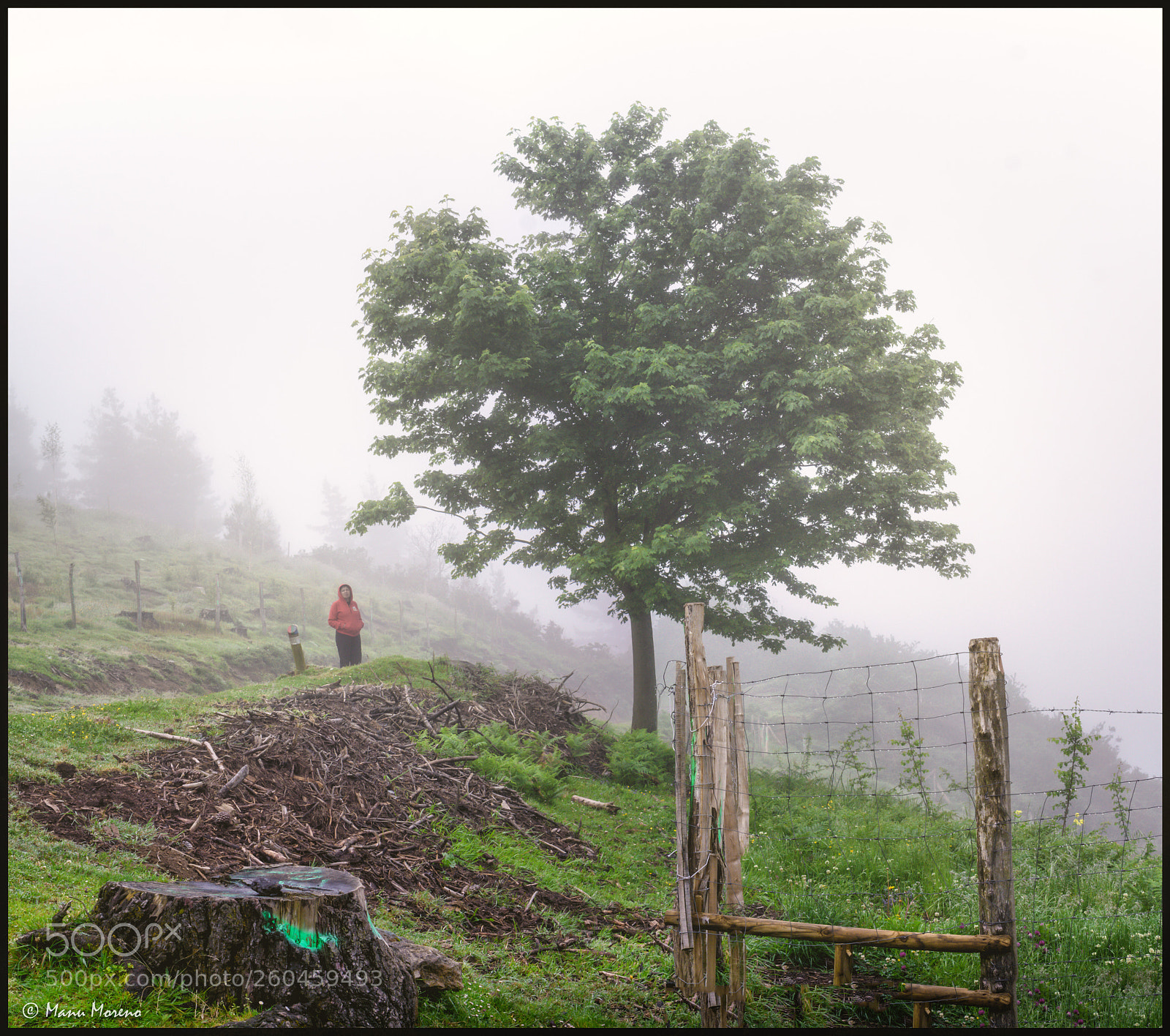 Sony a6000 sample photo. Peñas negras, 06/2018 photography