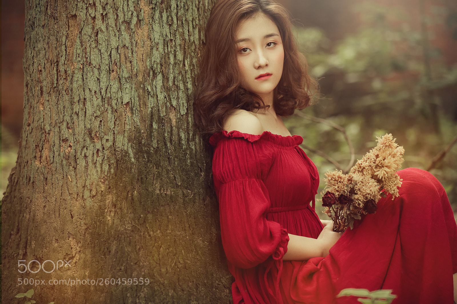 Canon EOS 5D Mark IV sample photo. Untitled photography