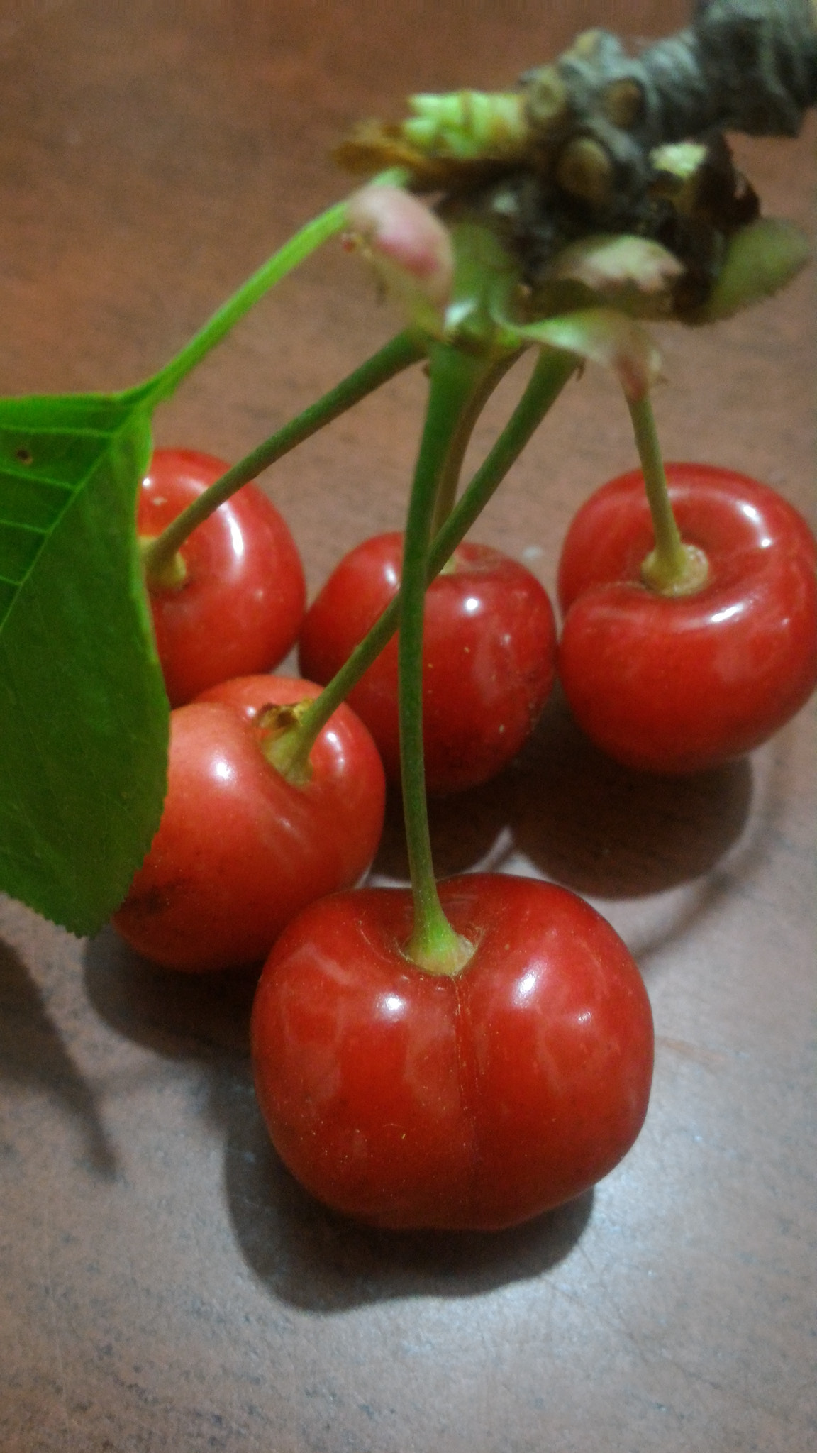 ASUS ZenFone 2 (ZE551ML) sample photo