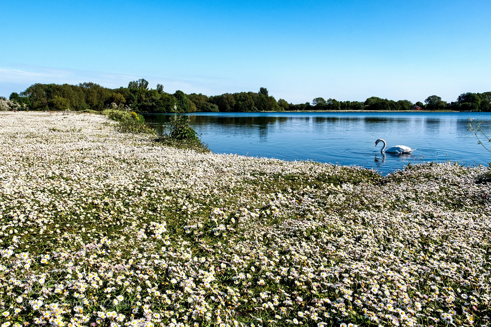 Fujifilm X-T2 sample photo. Colwick photography
