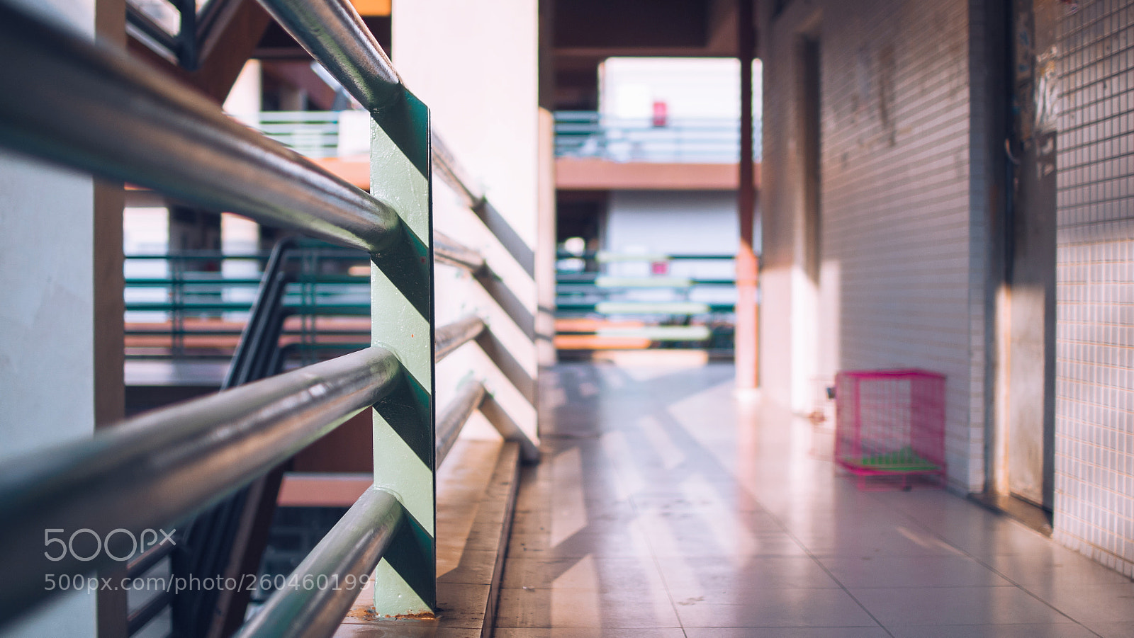 Pentax K-50 sample photo. 宿舍风光 photography