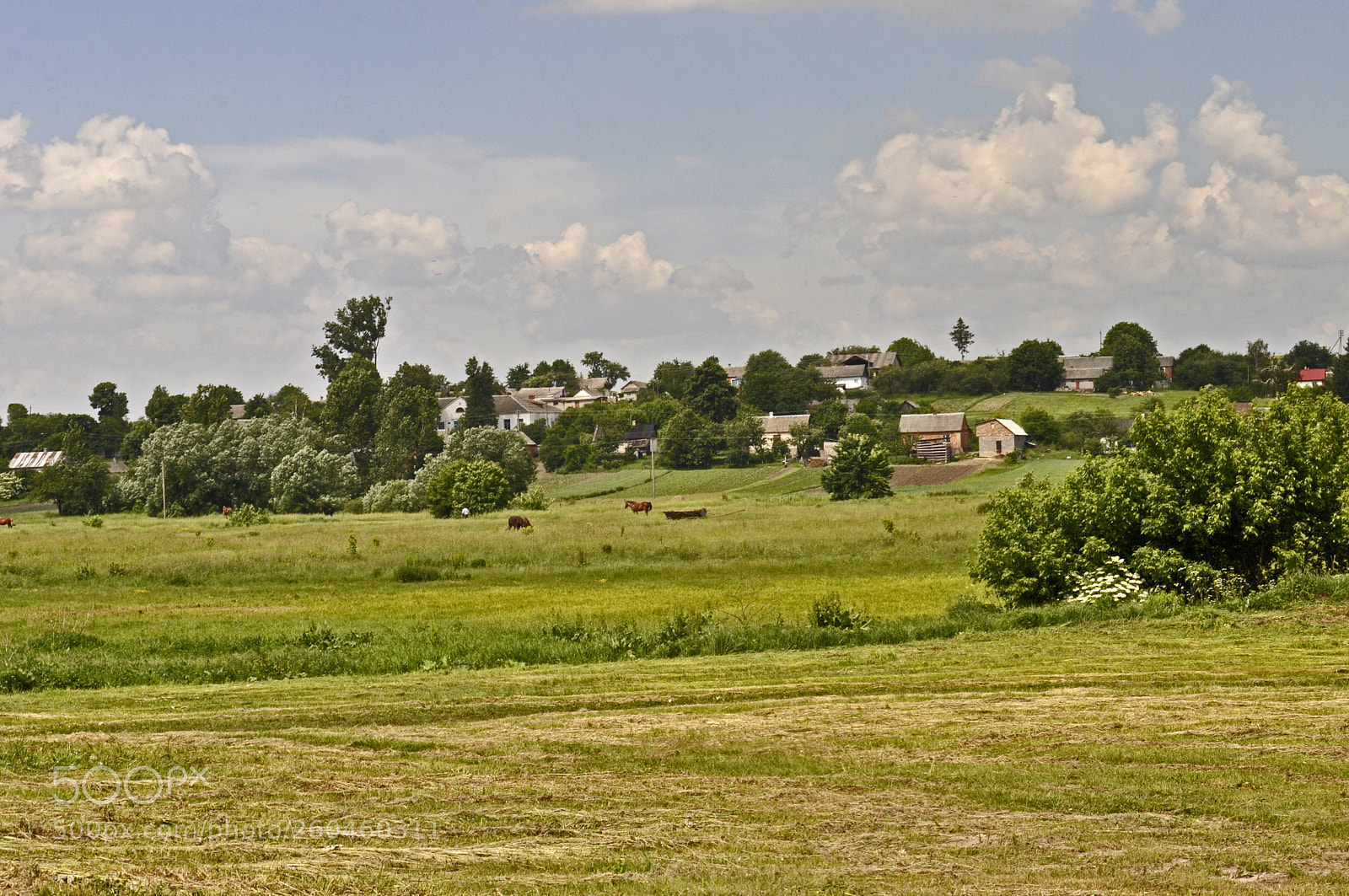 Nikon D5000 sample photo. Country sketches photography