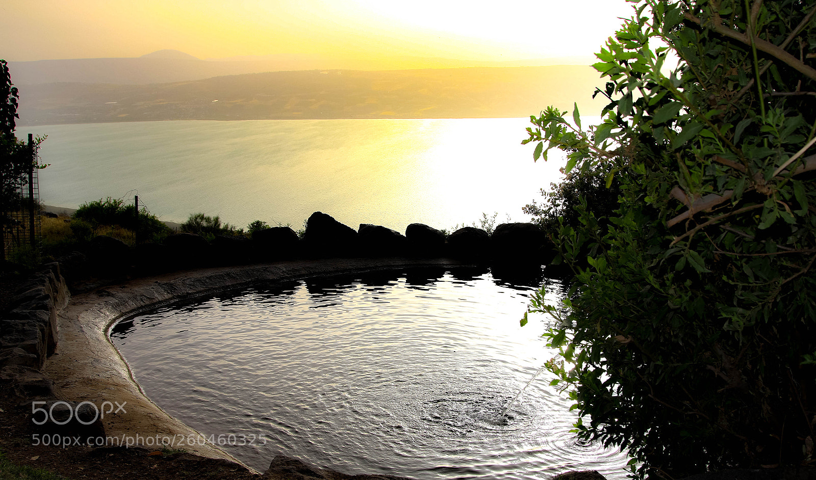 Canon EOS 7D Mark II sample photo. Untitled photography