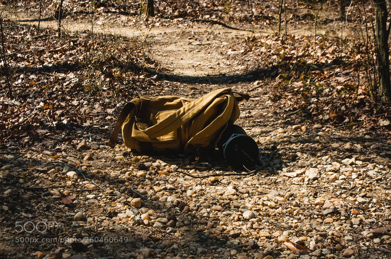 Nikon D90 sample photo. Untitled photography