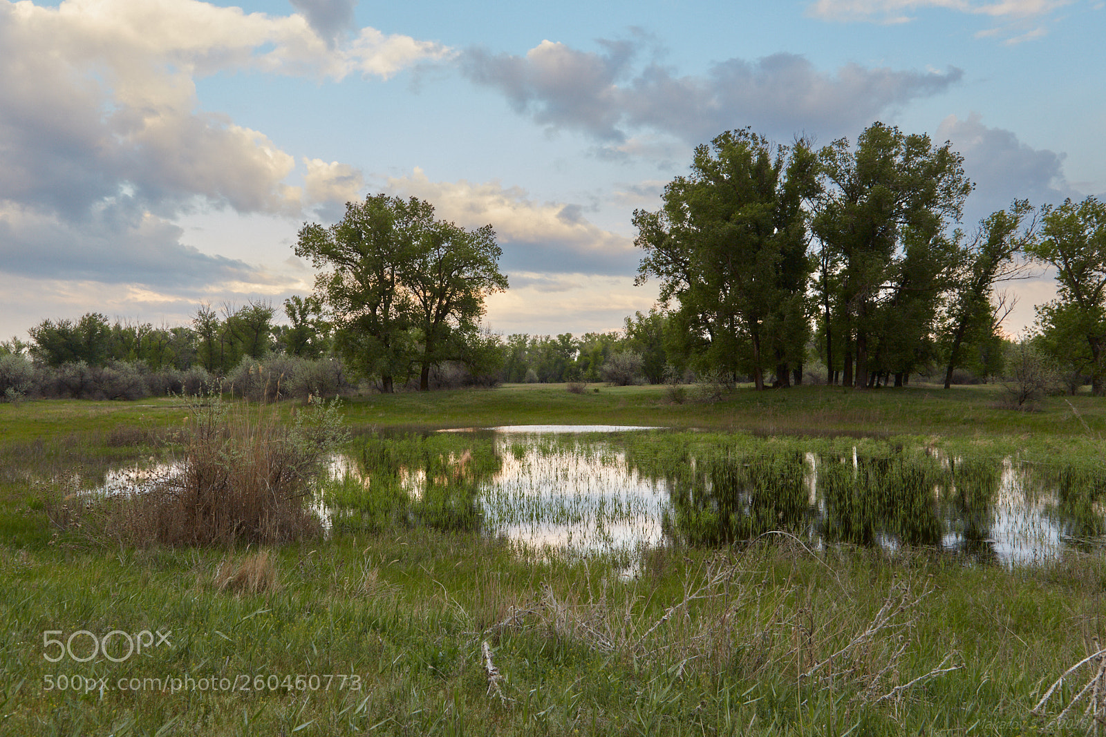 Canon EOS 6D sample photo. The volga-akhtuba floodplain photography