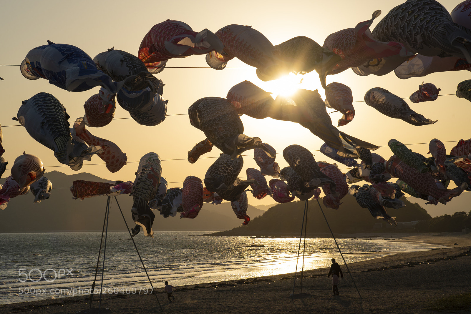Nikon D850 sample photo. Sea where carp streamers photography