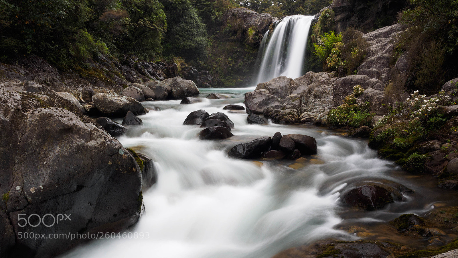 Olympus OM-D E-M1 sample photo. Tawhia falls photography