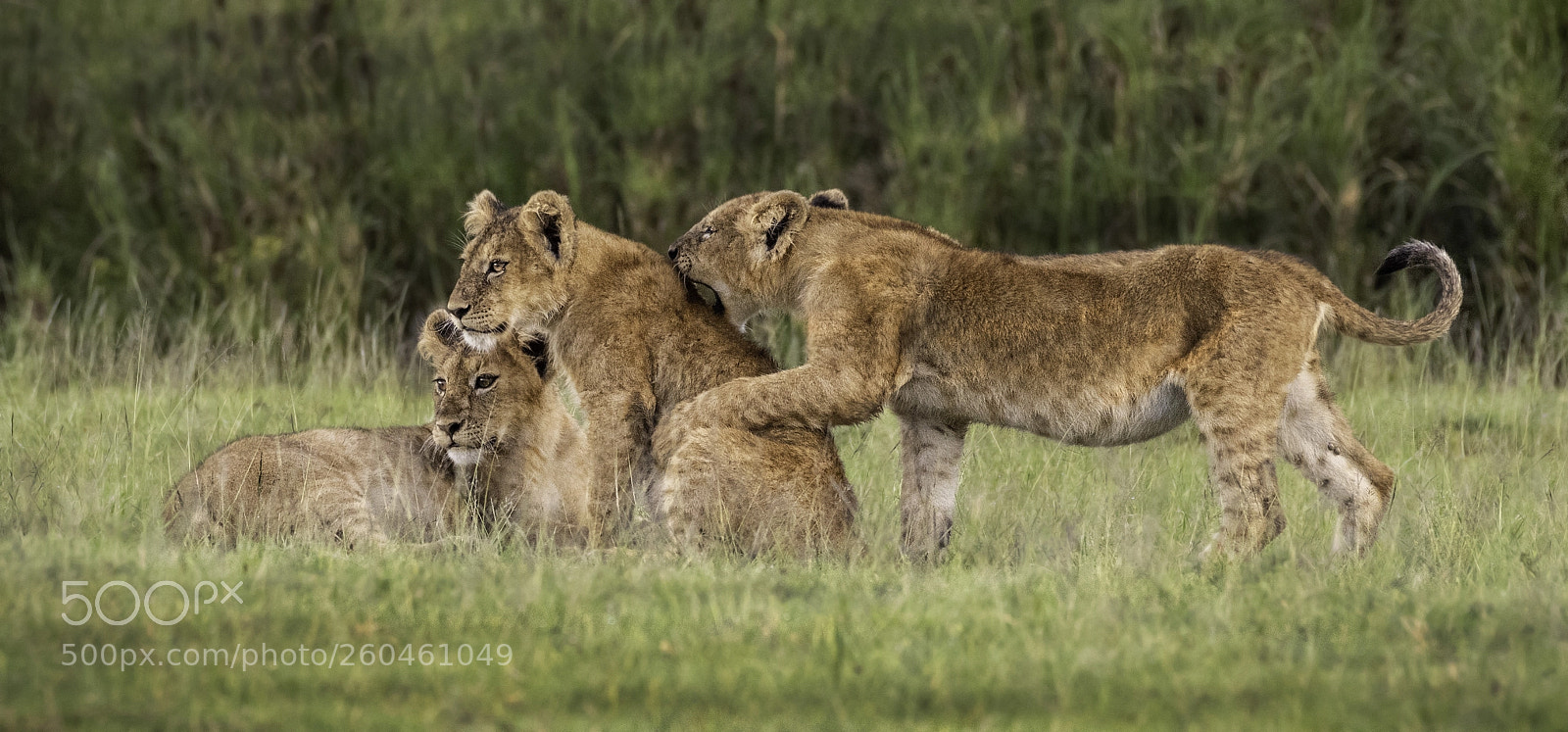 Nikon D810 sample photo. Family time photography