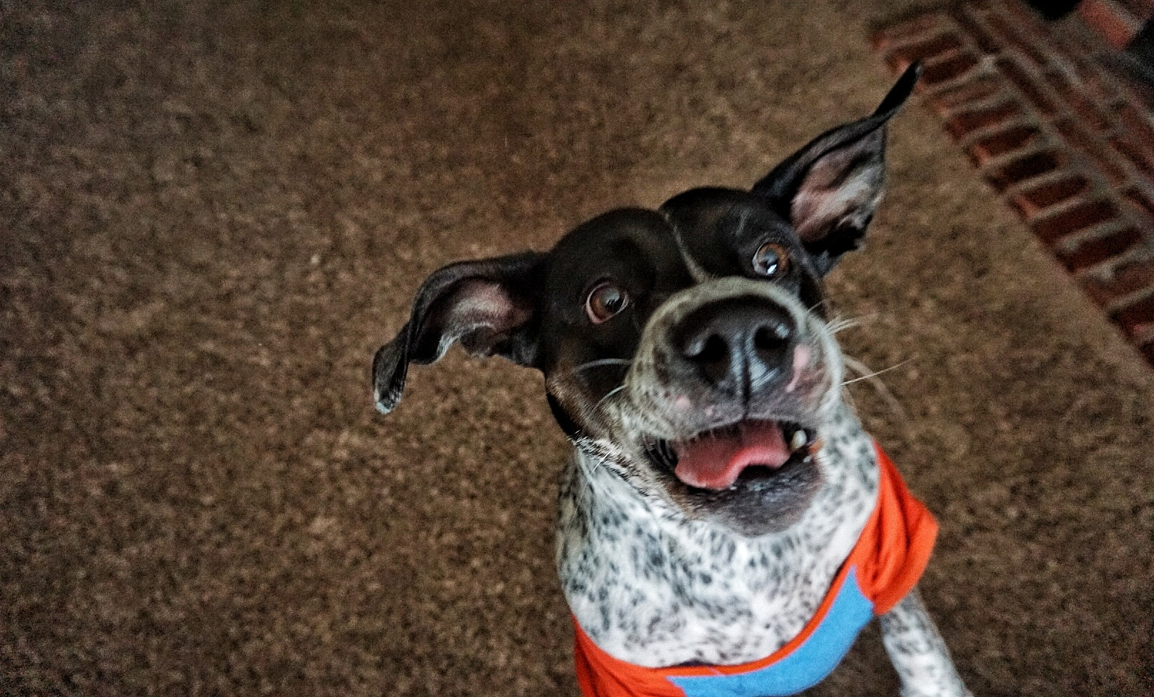 Sony a5100 sample photo. Maggie photography