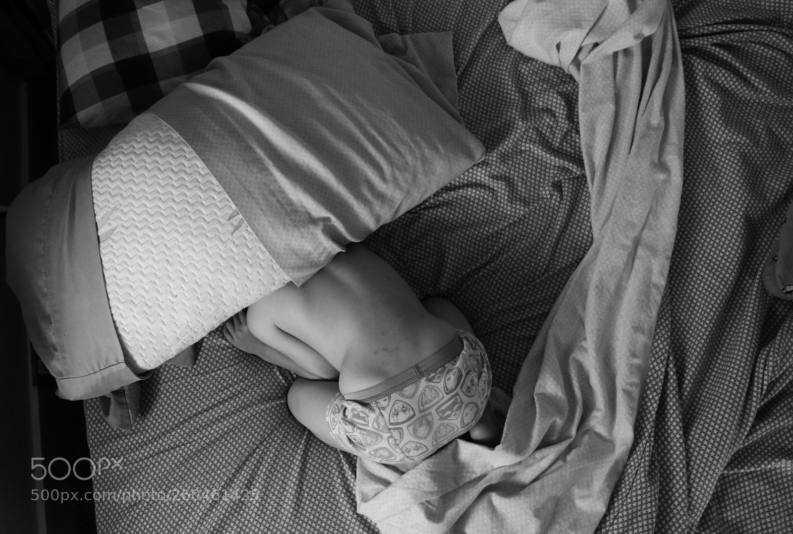 Canon EOS 80D sample photo. Untitled photography