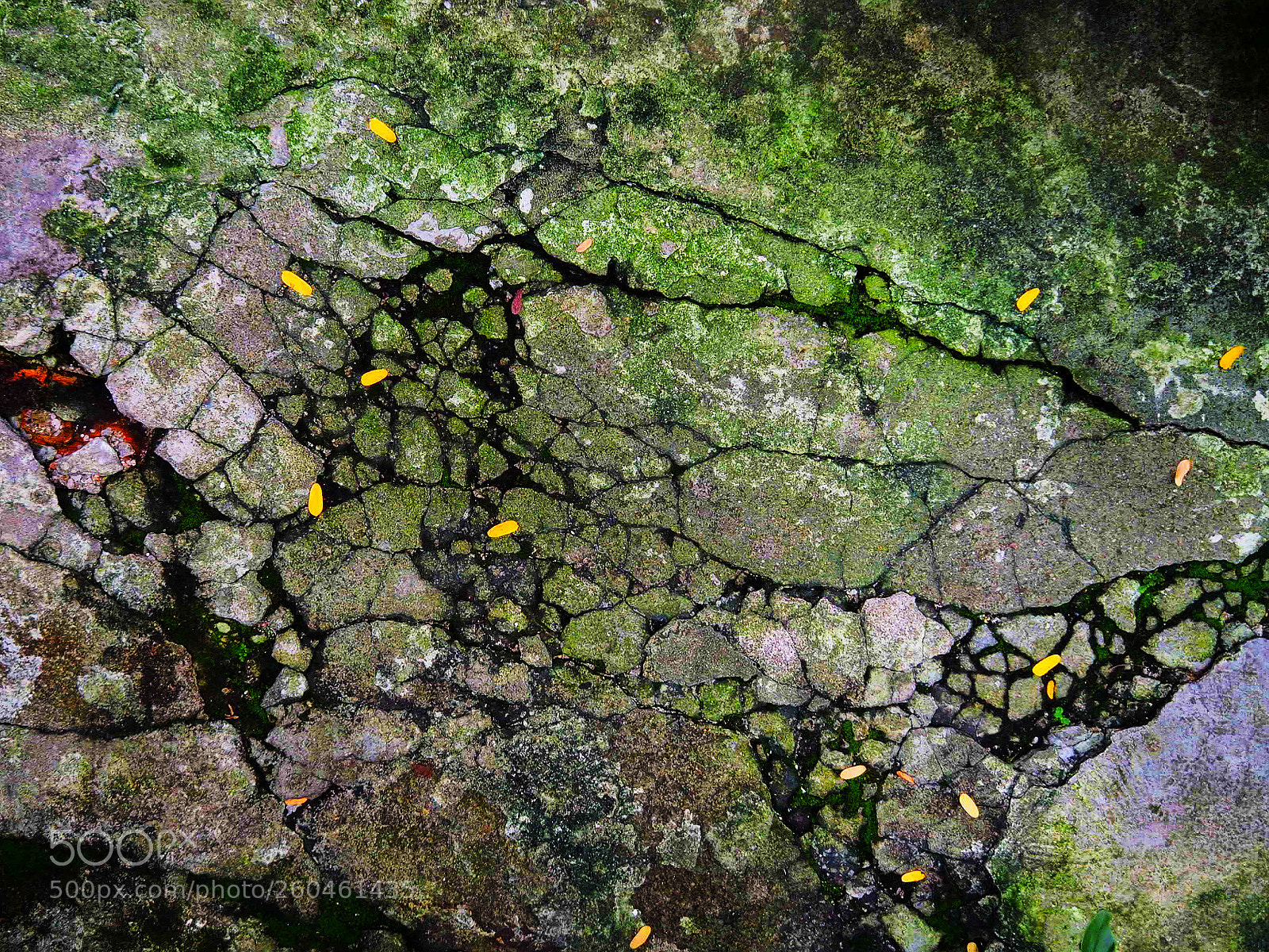 Olympus OM-D E-M10 II sample photo. Broken floor photography
