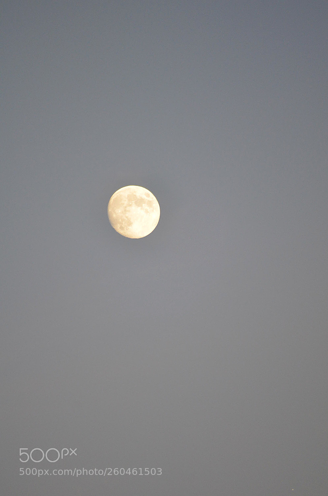 Nikon D5100 sample photo. Untitled photography
