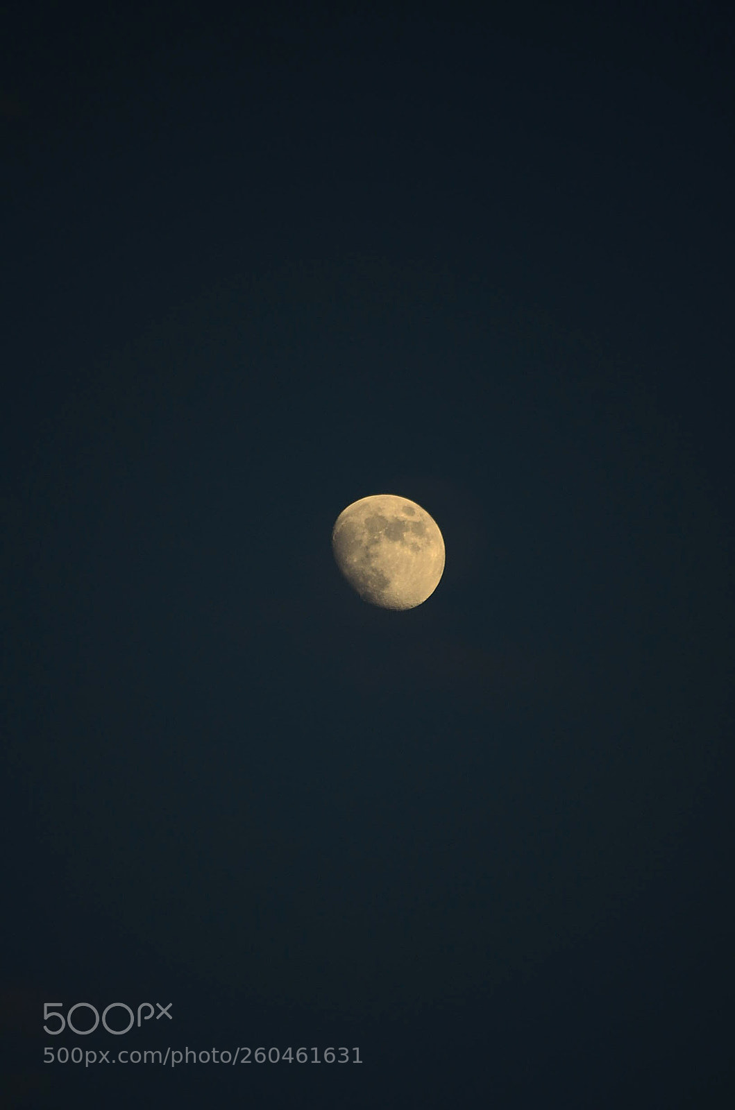 Nikon D5100 sample photo. Untitled photography