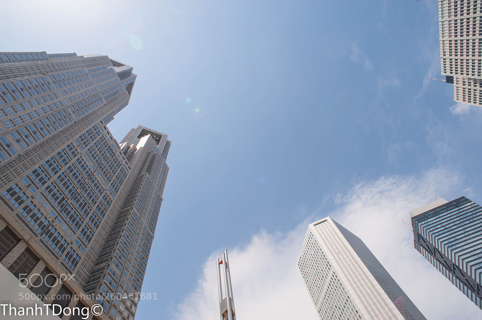 Nikon D700 sample photo. Standing tall photography