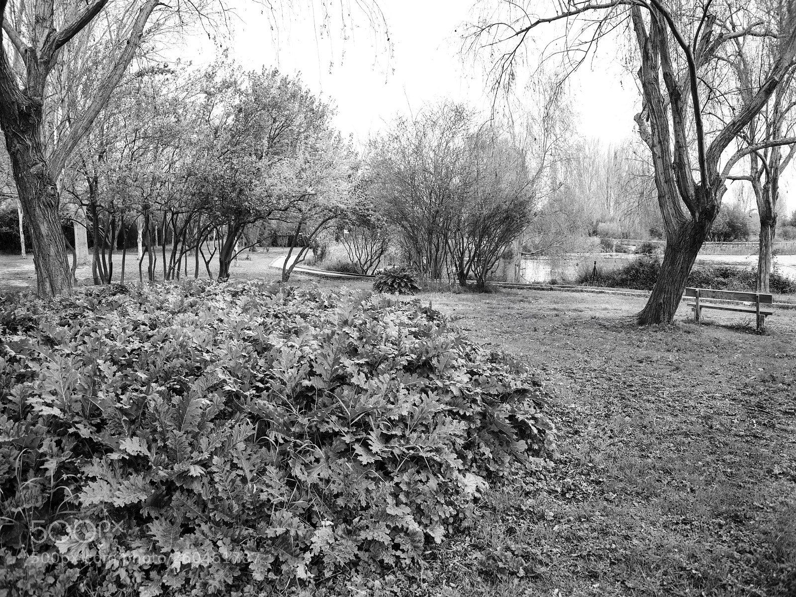 Nikon D800 sample photo. Parque ullal 1 photography