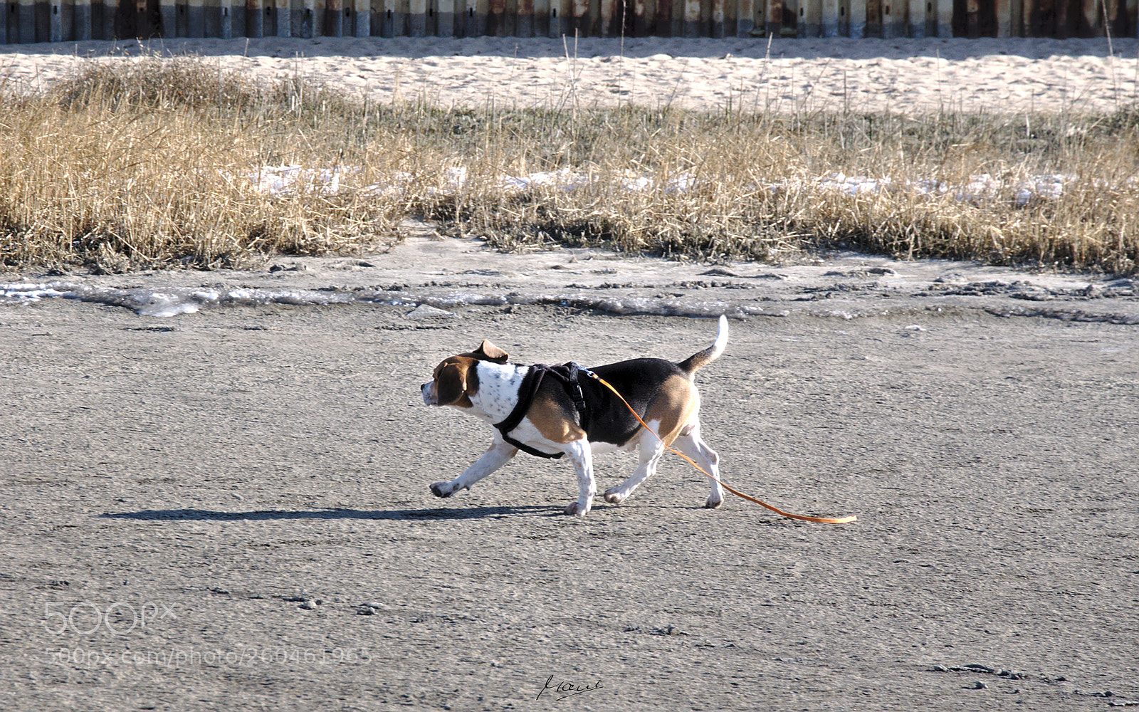 Nikon D90 sample photo. I'm walking alone photography