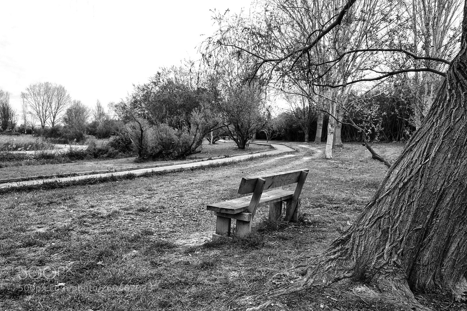 Nikon D800 sample photo. Parque ullal 2 photography