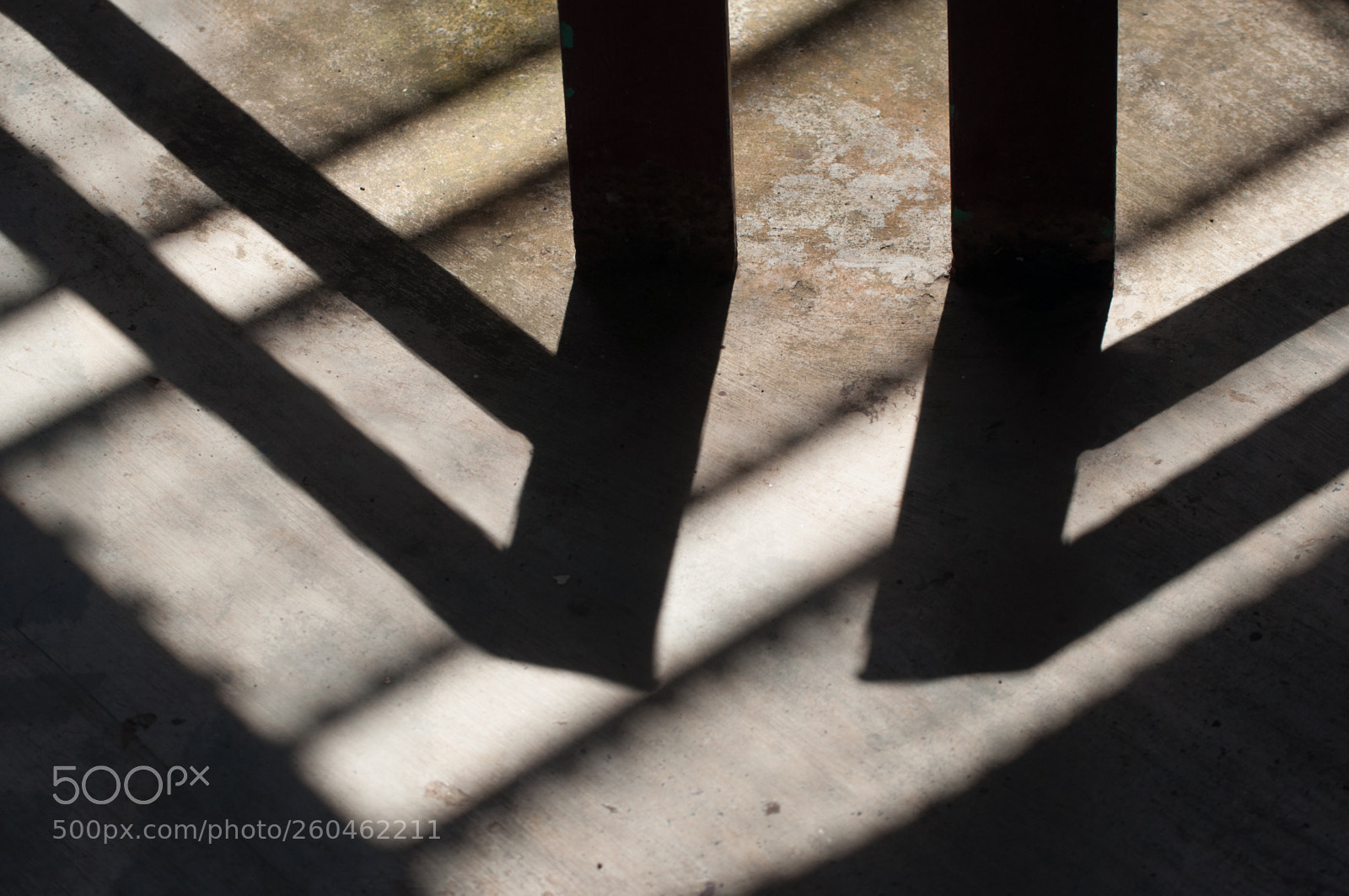 Nikon D5000 sample photo. Tropical mind photography