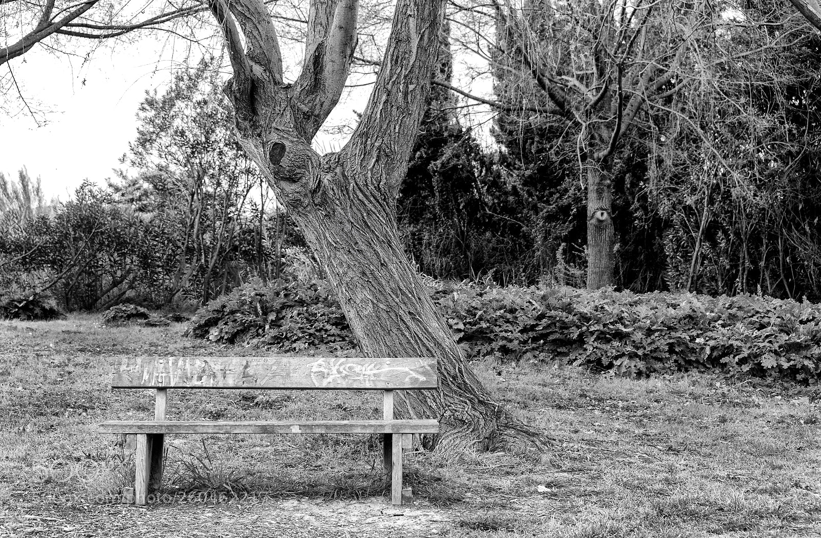 Nikon D800 sample photo. Parque ullals 3 photography